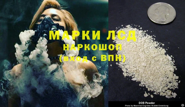 спайс Алзамай
