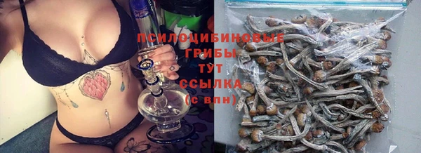 спайс Алзамай