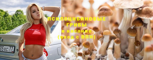 спайс Алзамай