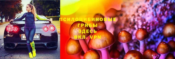 спайс Алзамай